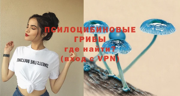 винт Алзамай