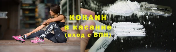 гашик Алексеевка
