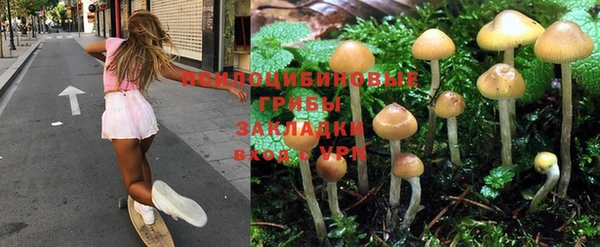 винт Алзамай