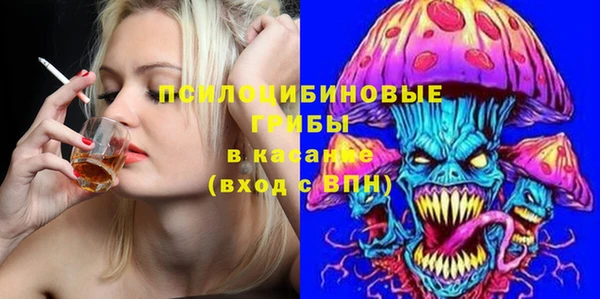 гашик Алексеевка