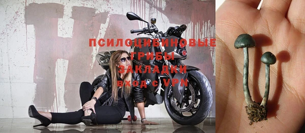 гашик Алексеевка