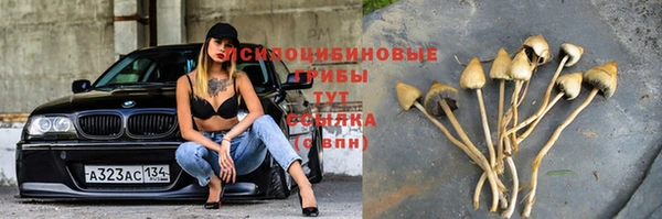 винт Алзамай