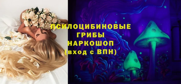 винт Алзамай
