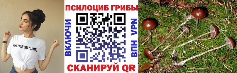 omg   Камызяк  Галлюциногенные грибы MAGIC MUSHROOMS 